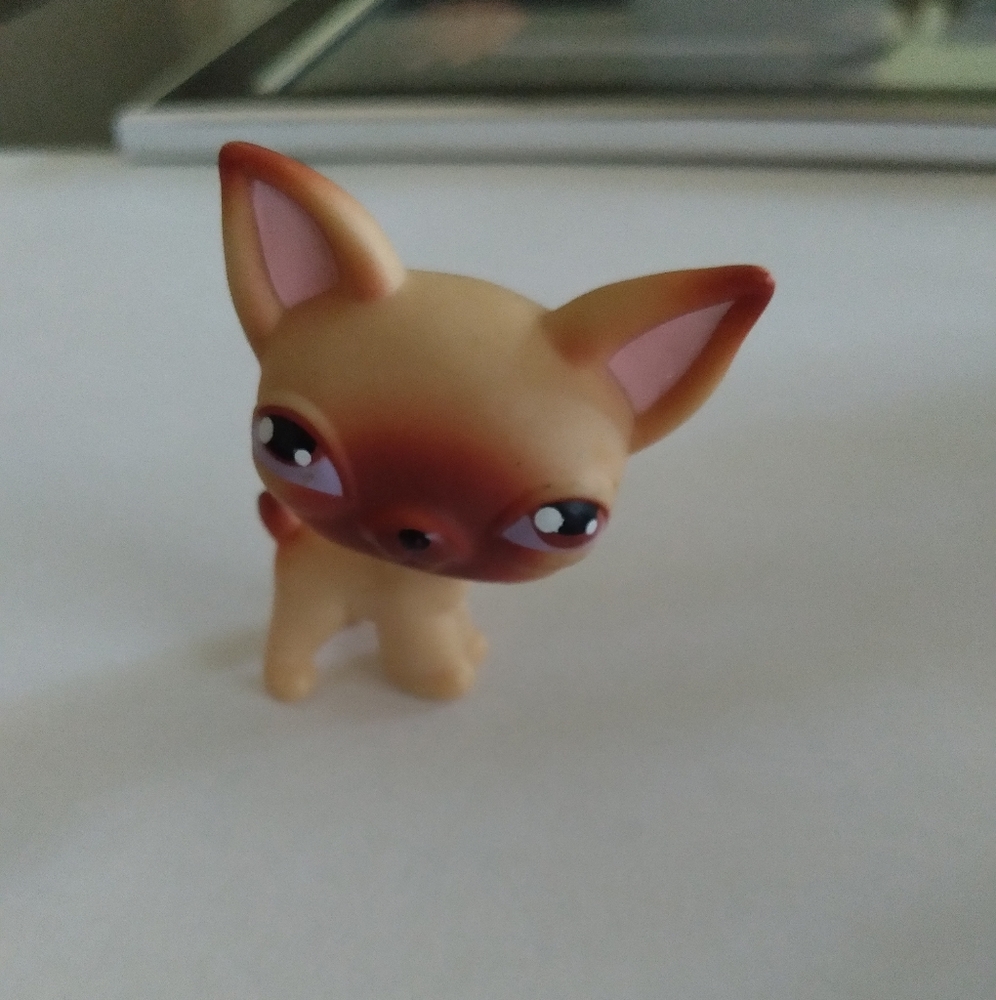 Littlest pet shop chihuahua #1